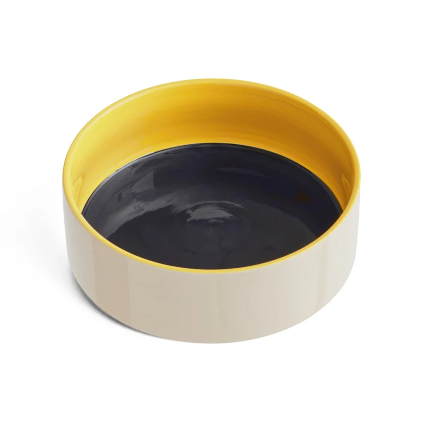 Dogs Bowl Large- Blue, Yellow