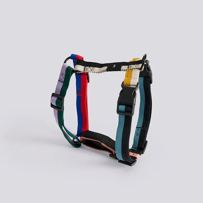 HAY Dogs Harness - Multi Colour