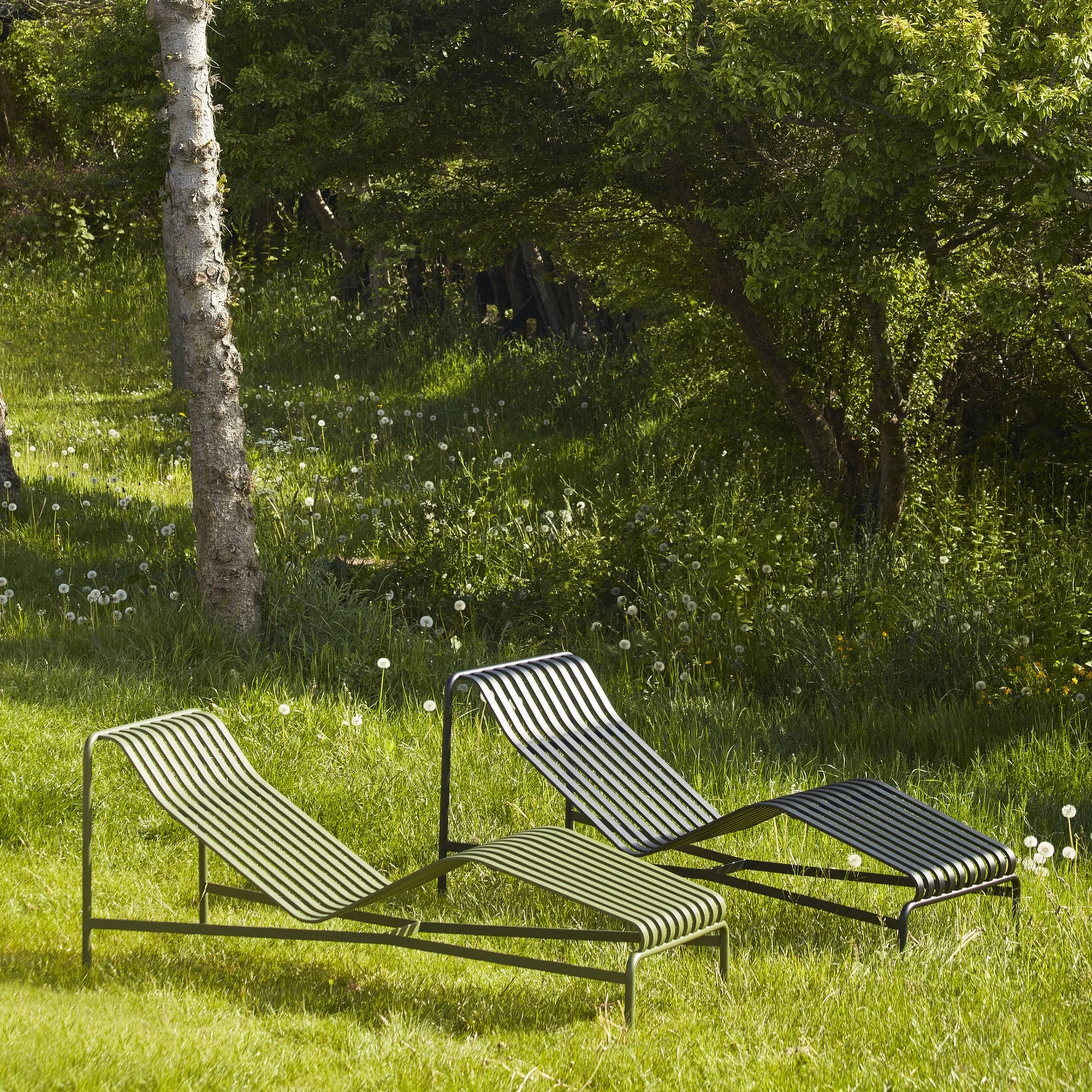 Palissade Sun / Chaise Lounge - Image 3